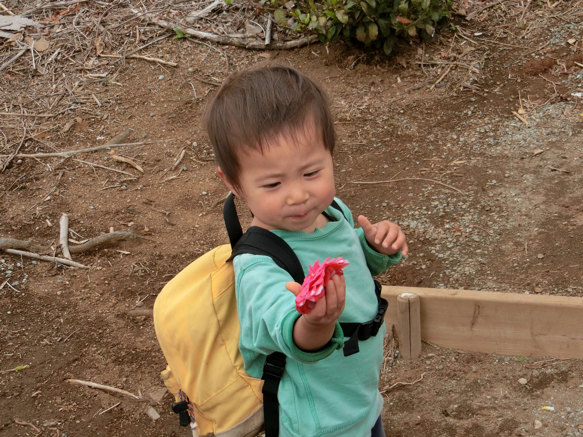 １歳児のお散歩