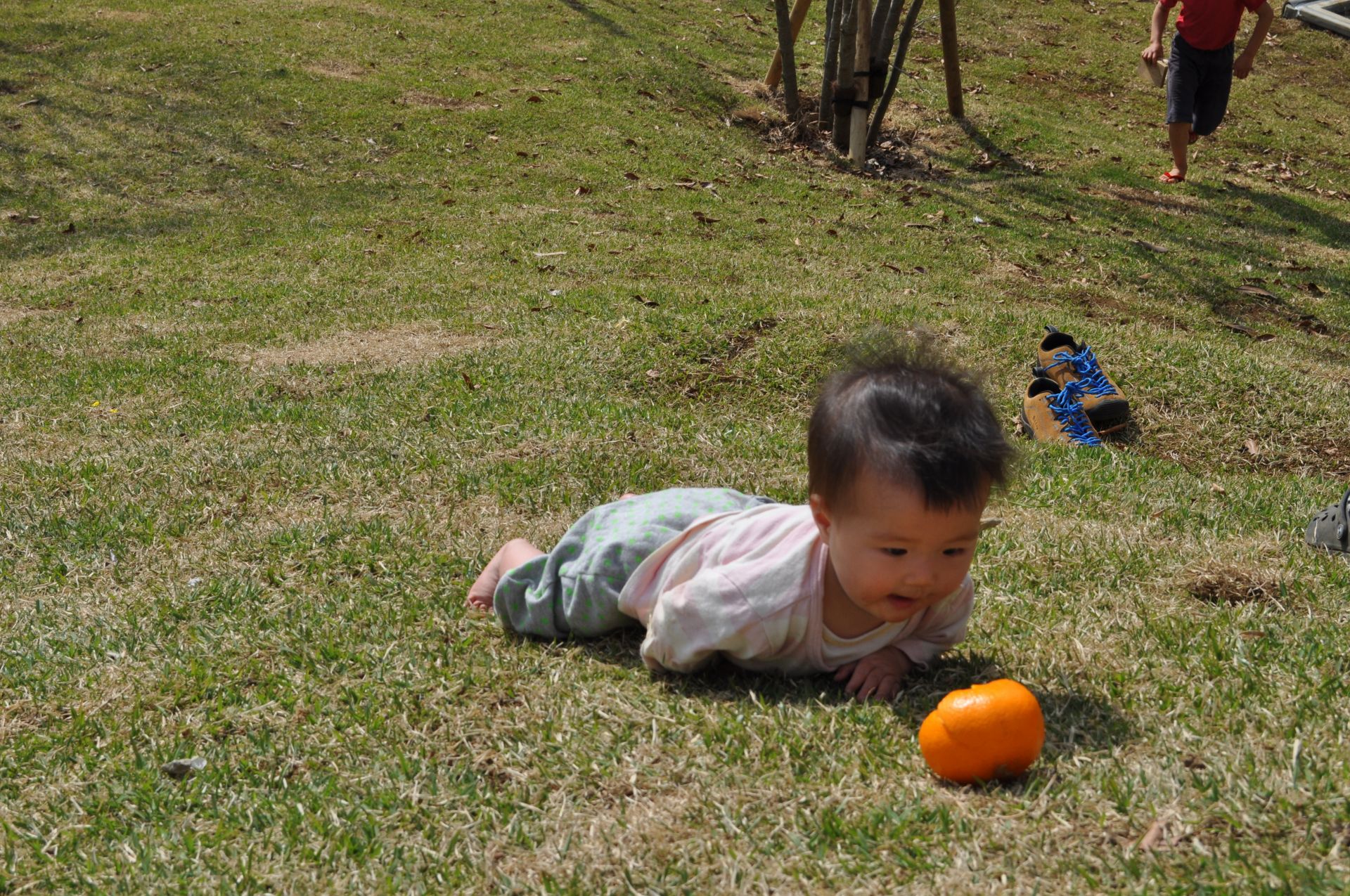 しっかりと食べられる子に