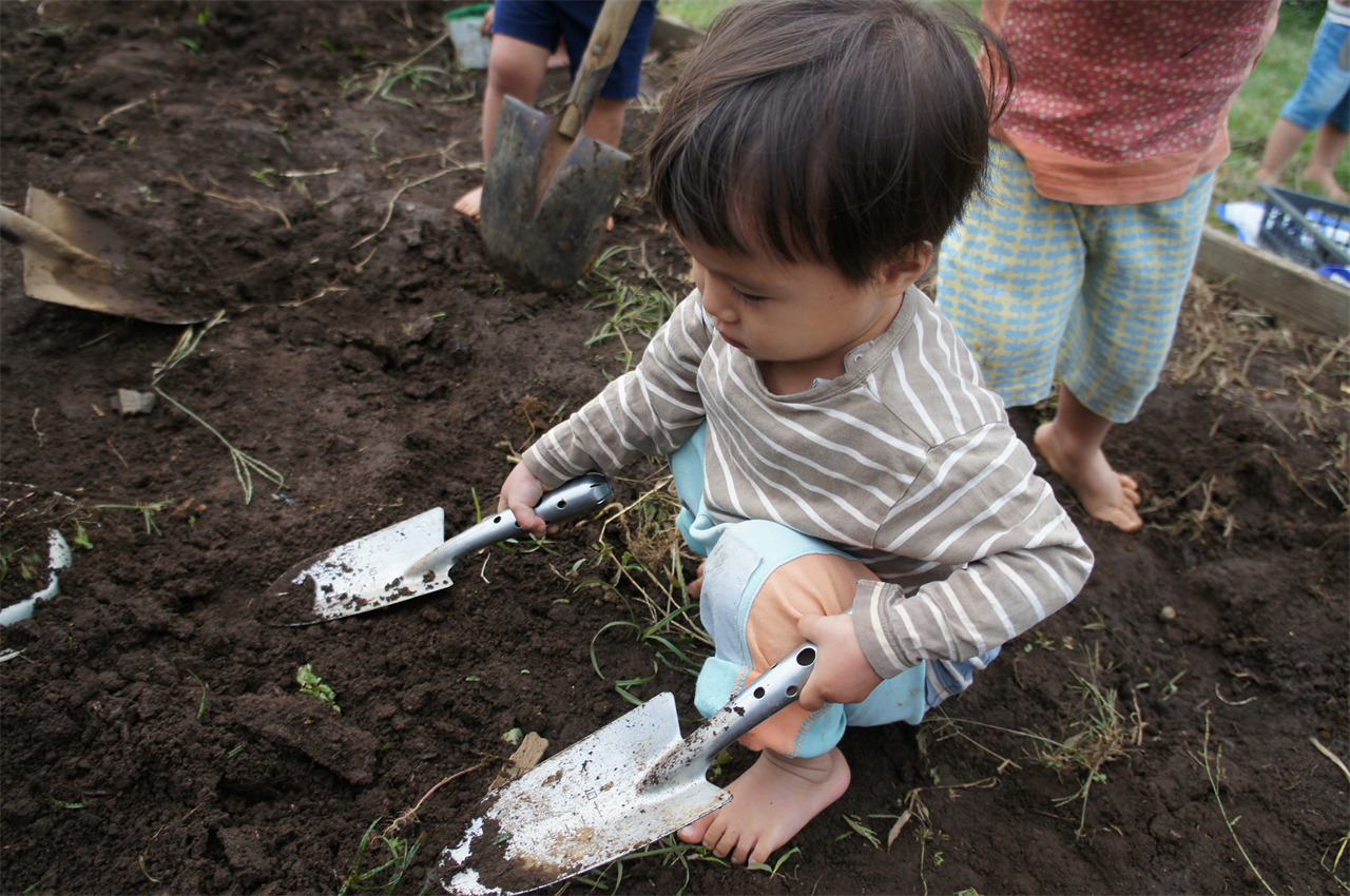 1歳児（道具へのあこがれ）