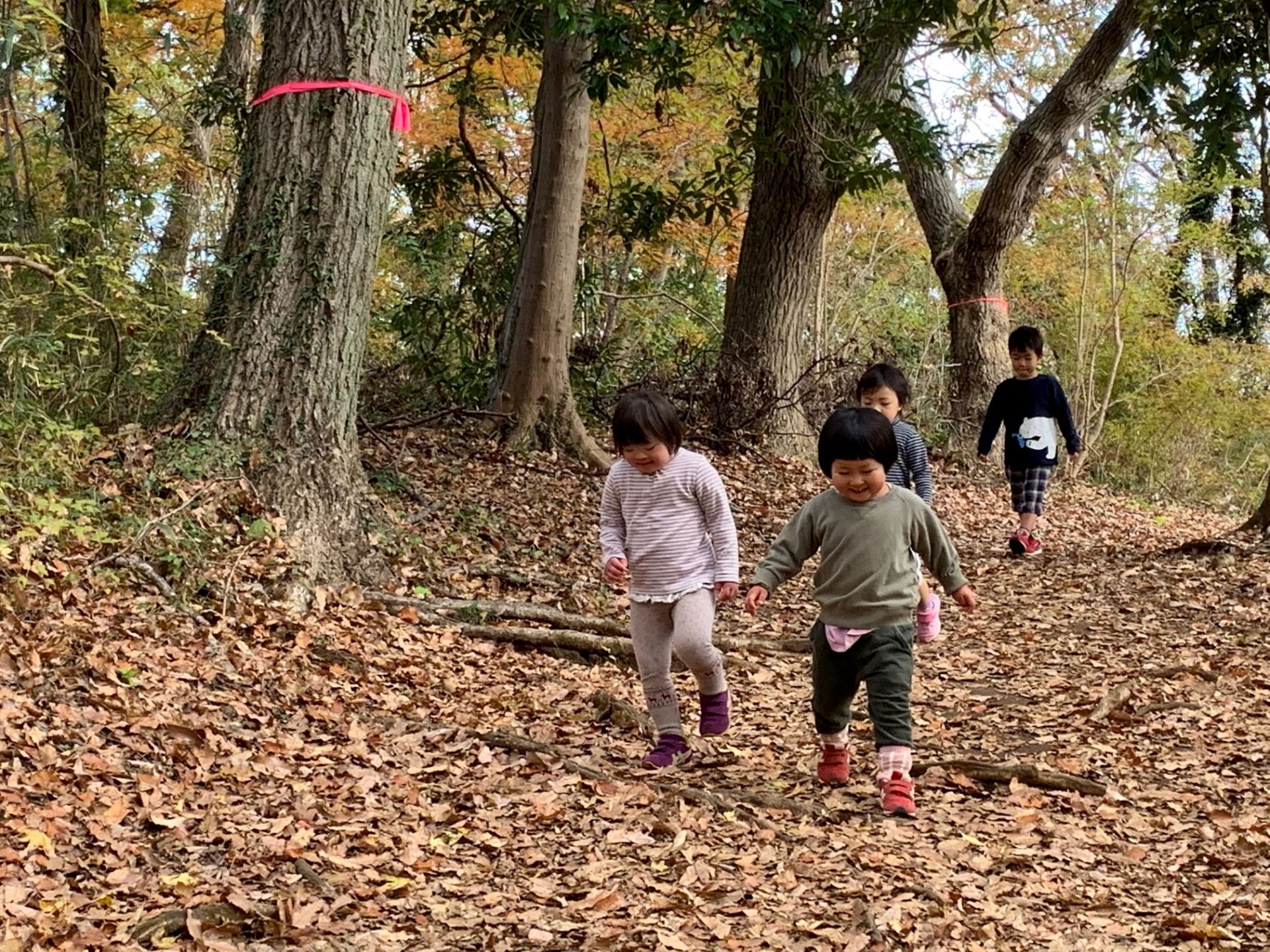 やぎ組・年長　弘法山トレイルラン[12/11】