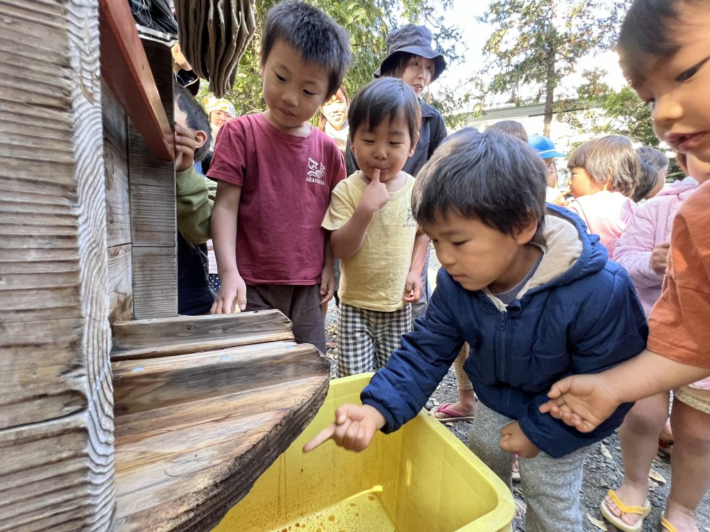 お醤油をしぼる 2023 - ハレノヒ保育園